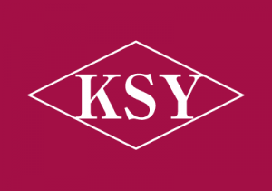 ksy - New 高树玛利亚 Pi Zero Distributors