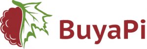buyapi - New 高树玛利亚 Pi Zero Distributors