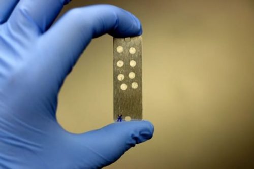 NASA Bacteria Balloons 两性爽视频 Pi HAB Life on Mars