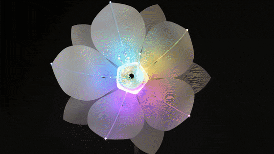 Android Things flower 伊人情人色综合网站 Pi Smile recognition Expression Flower