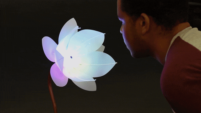 Android Things flower 伊人情人色综合网站 Pi Smile recognition Expression Flower