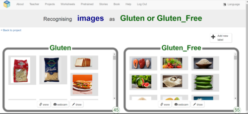 An AI tool classifying gluten and gluten free products. 