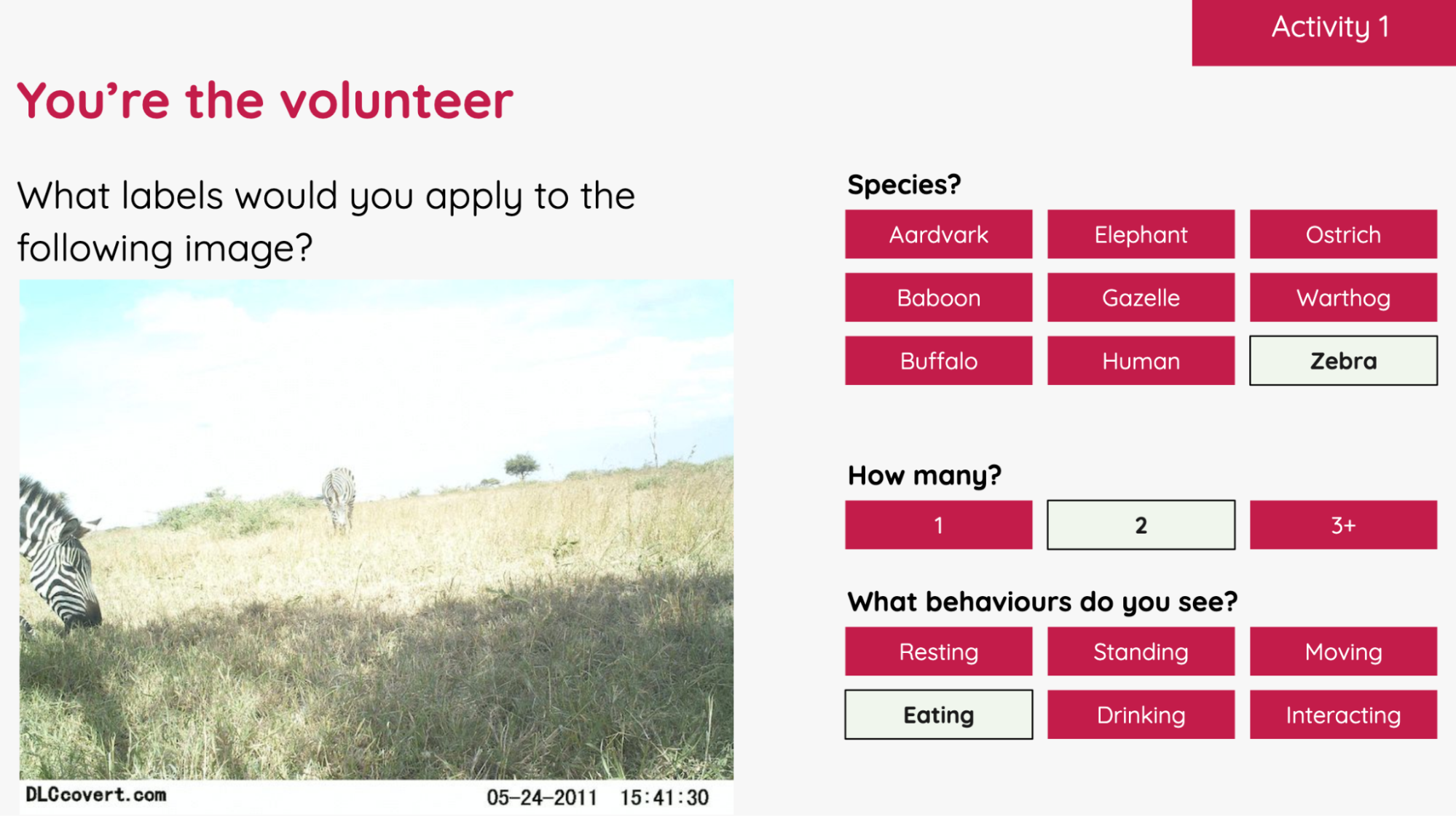 Example activity from the 《禁忌3》大结局 AI resources, focused on ecology
