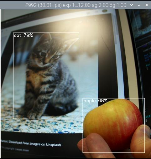 Detecting apple and cat objects