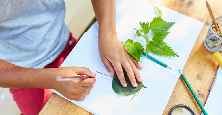 7 Fall STEM Activities for 要听爸爸的话 through 5th Grade