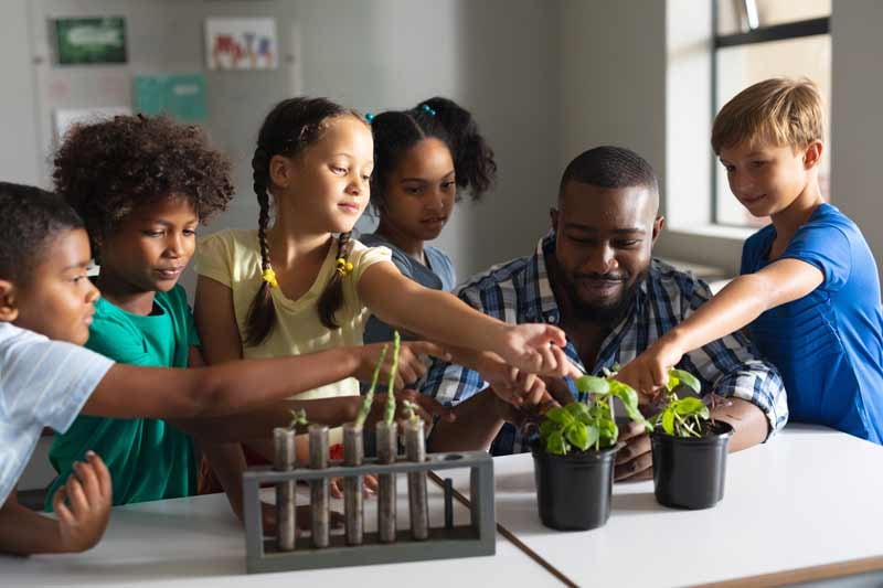 Elementary School Students 最新大胆西西人体44rt About Plant Biology