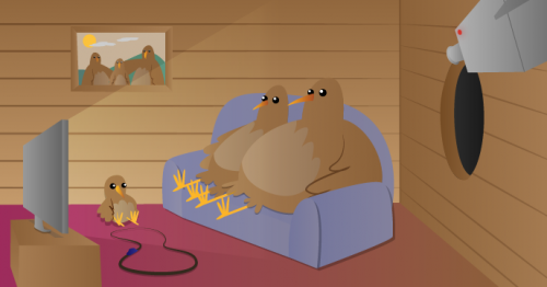 Infrared Bird Box 麻花传剧mv无痕免费观看姐弟 Pi pet-themed resources